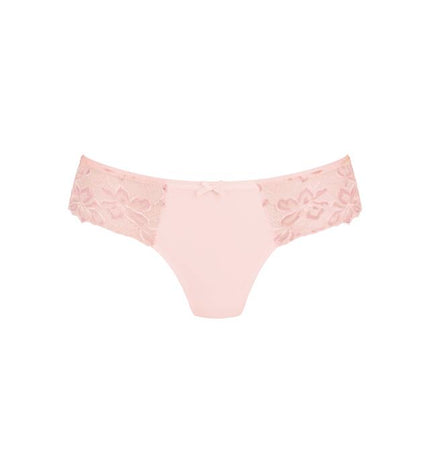 Rosa Faia Shorty Suzette wild rose