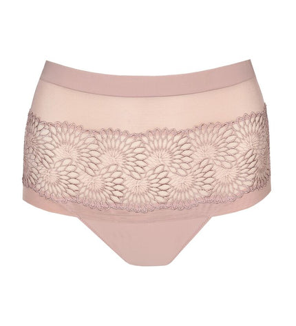 Prima Donna Hotpants Sophora boisderose
