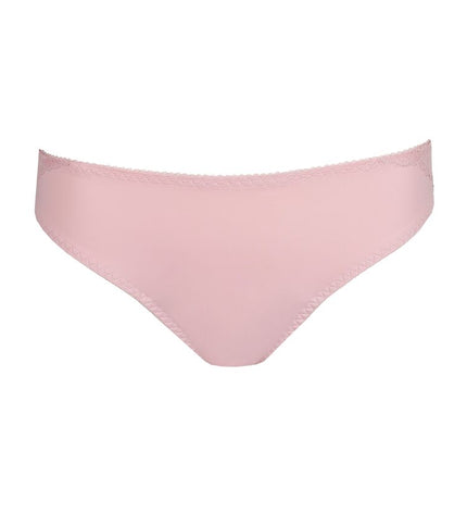 Prima Donna Rioslip Salerno spring rose