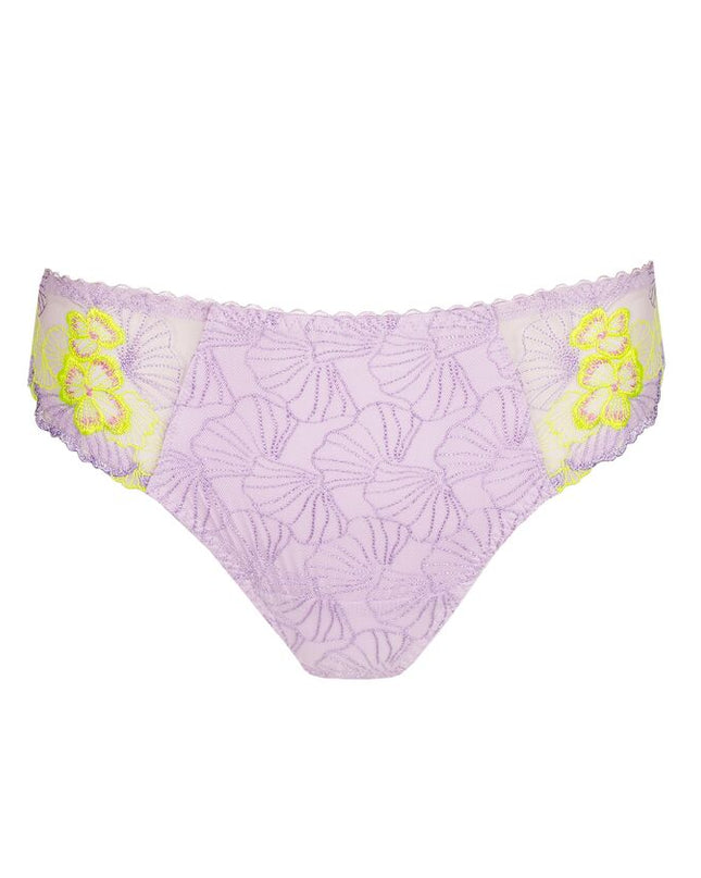 Primadonna Rioslip Ixia wisteria