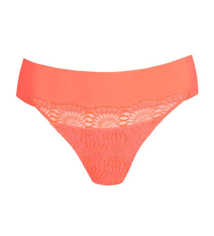 Prima Donna String Sophora spritz