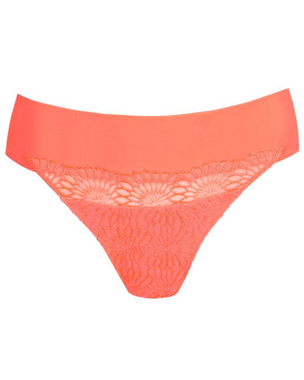 Prima Donna String Sophora spritz