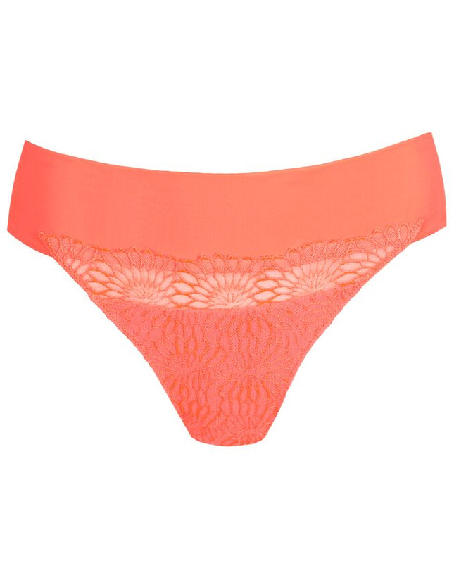 Prima Donna String Sophora spritz