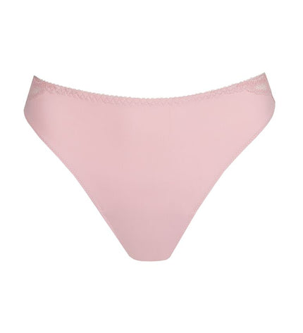 Prima Donna String Salerno spring rose