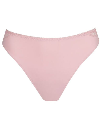 Prima Donna String Salerno spring rose