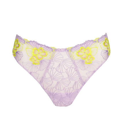 Primadonna String Ixia wisteria