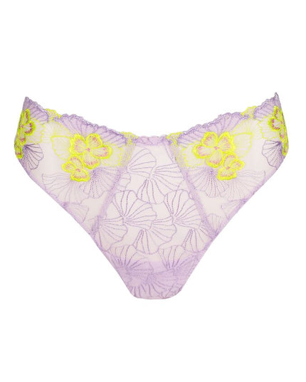 Primadonna String Ixia wisteria