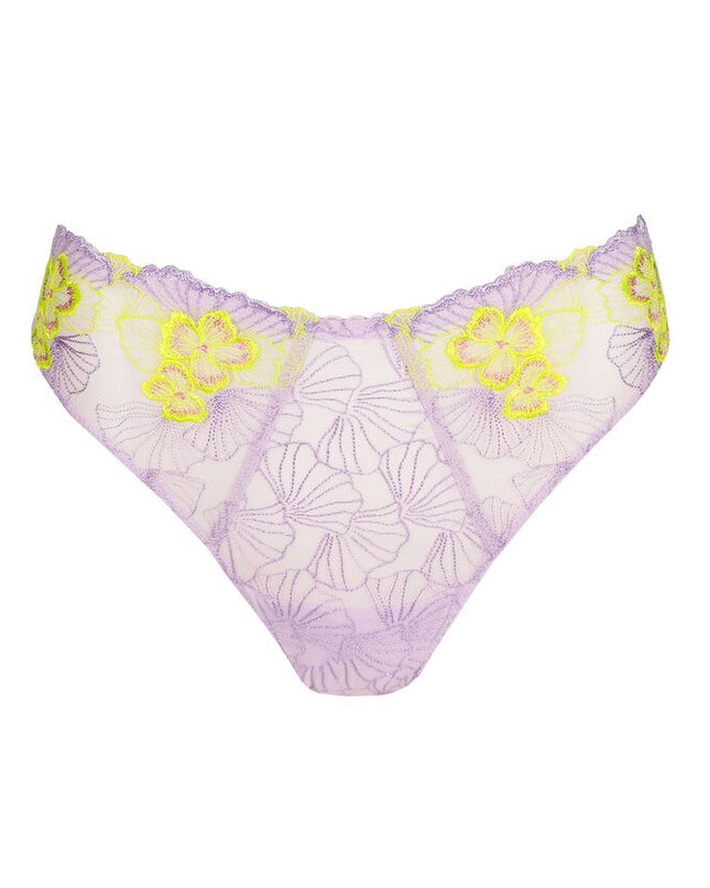 Primadonna String Ixia wisteria