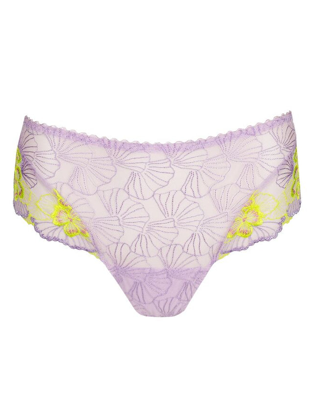 Primadonna Luxus String Ixia wisteria