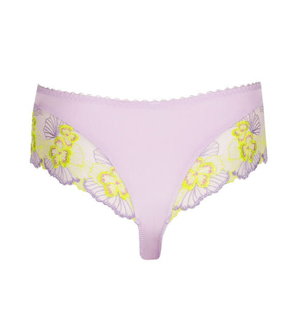 Primadonna Luxus String Ixia wisteria