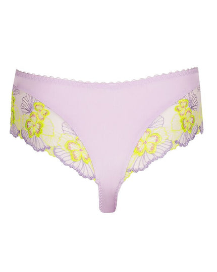 Primadonna Luxus String Ixia wisteria