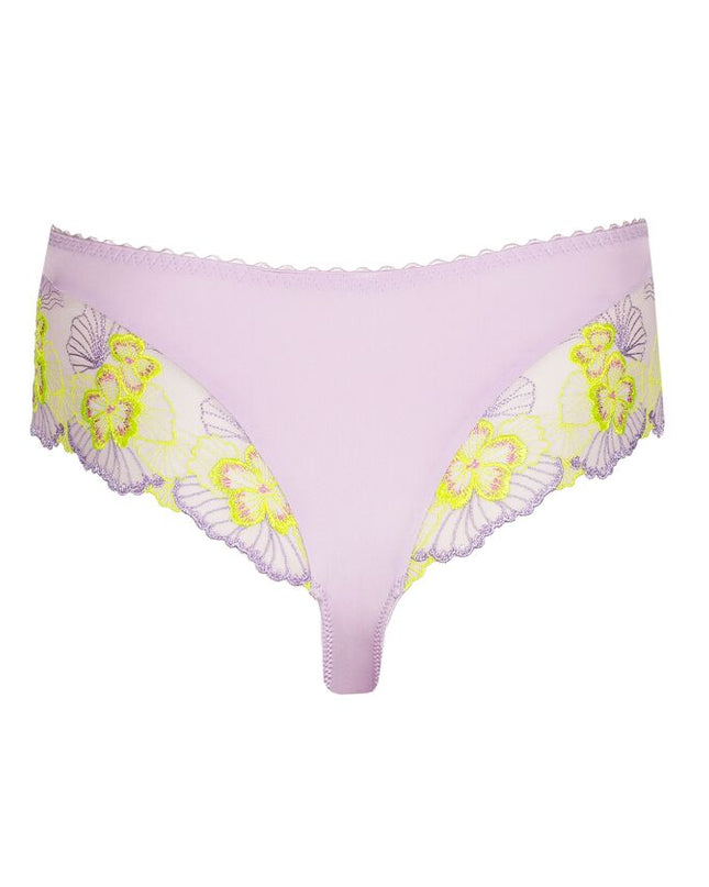 Primadonna Luxus String Ixia wisteria