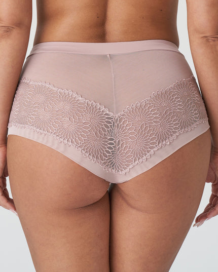 Prima Donna Hotpants Sophora boisderose