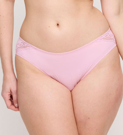 Prima Donna Rioslip Salerno spring rose
