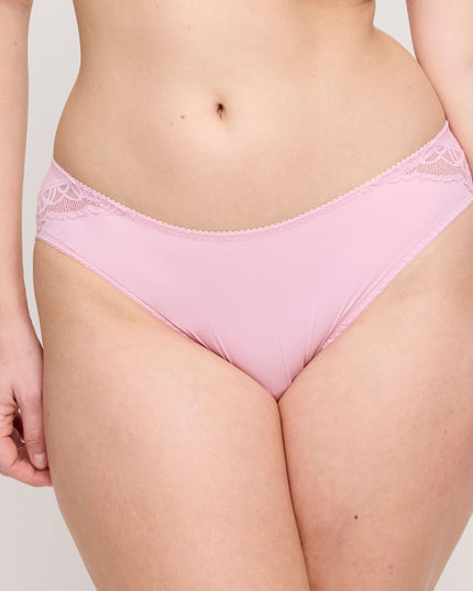 Prima Donna Rioslip Salerno spring rose