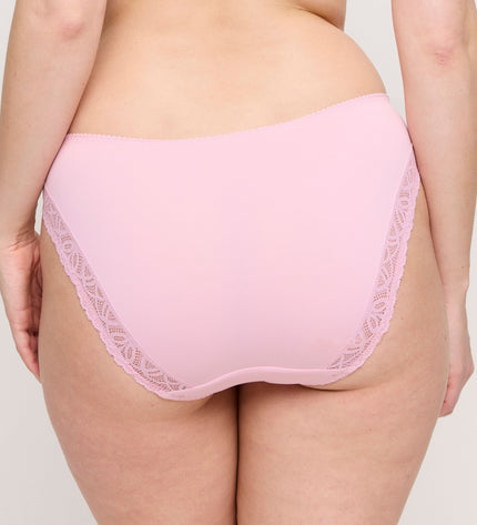 Prima Donna Rioslip Salerno spring rose
