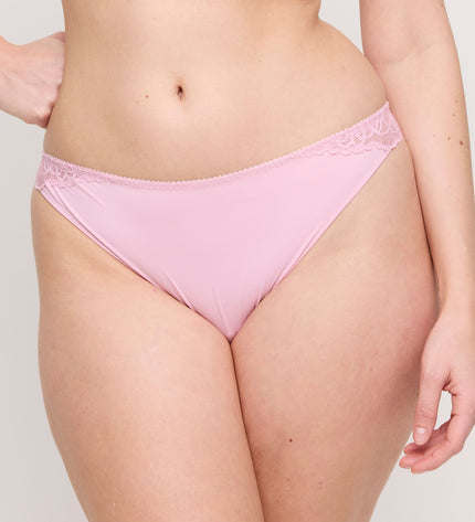 Prima Donna String Salerno spring rose