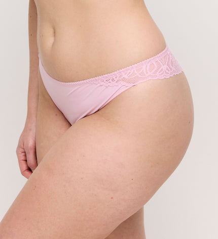 Prima Donna String Salerno spring rose