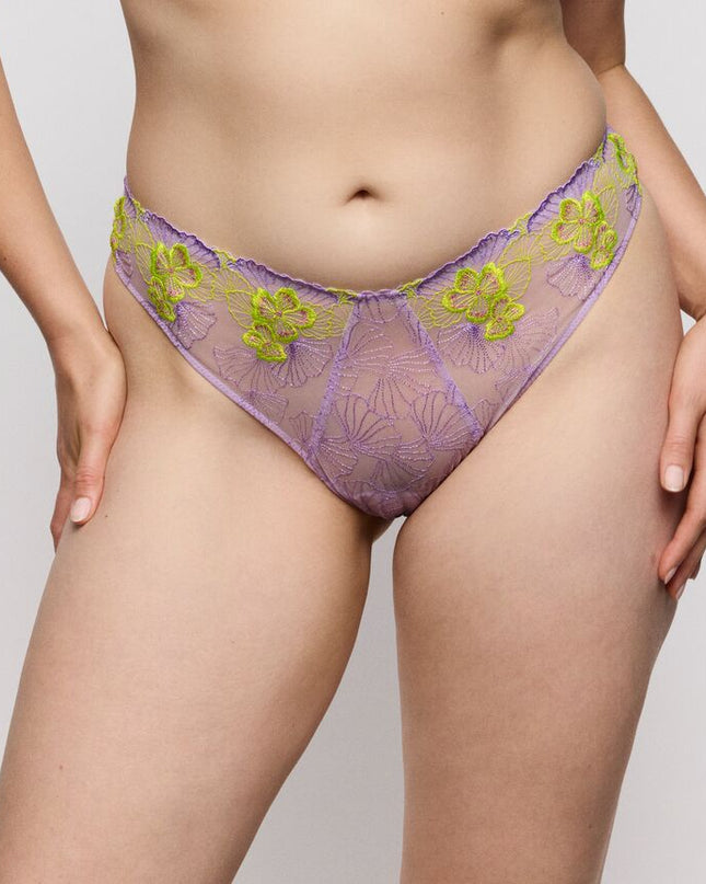 Primadonna String Ixia wisteria