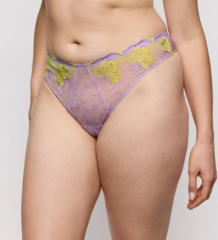Primadonna String Ixia wisteria