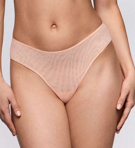 Sarda String Chalmers