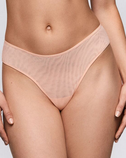 Sarda String Chalmers