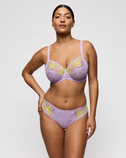 Primadonna Rioslip Ixia wisteria