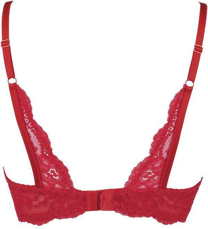 axami-buestenhebe-v-9801_2