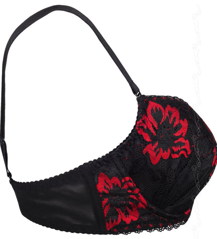 push-up-bh-fenice_6