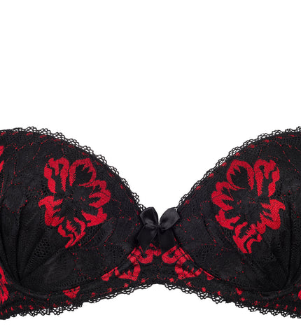 push-up-bh-fenice_4