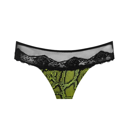 Sarda String Bremer pyton