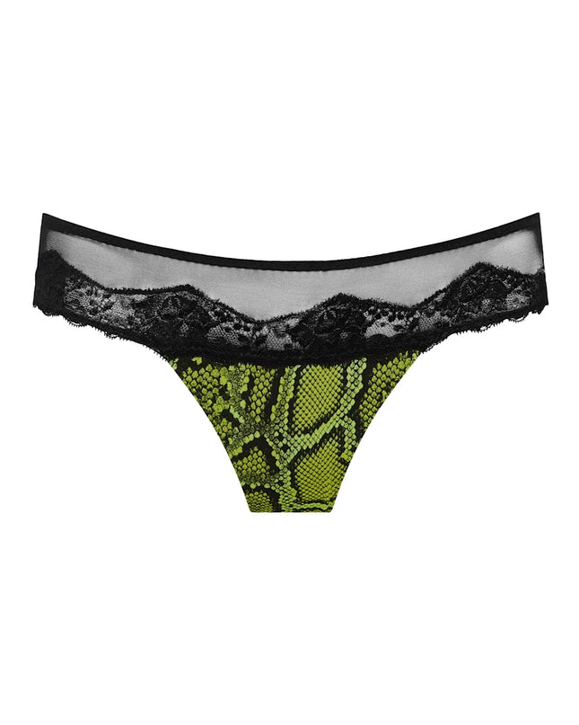 Sarda String Bremer pyton